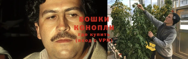 ешки Михайлов