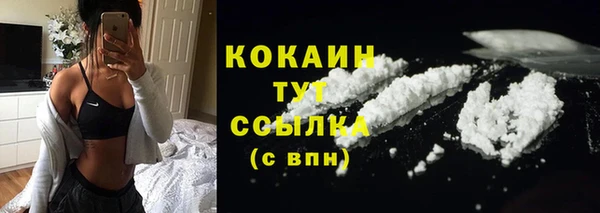 ешки Михайлов