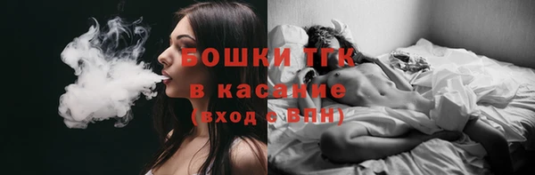 ешки Михайлов