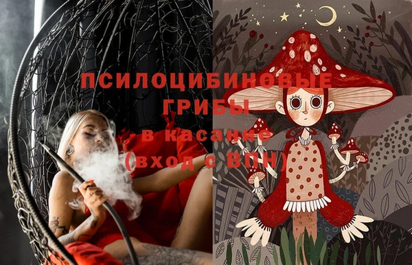 мдпв Михайловск