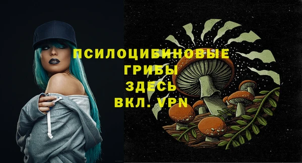 мдпв Михайловск